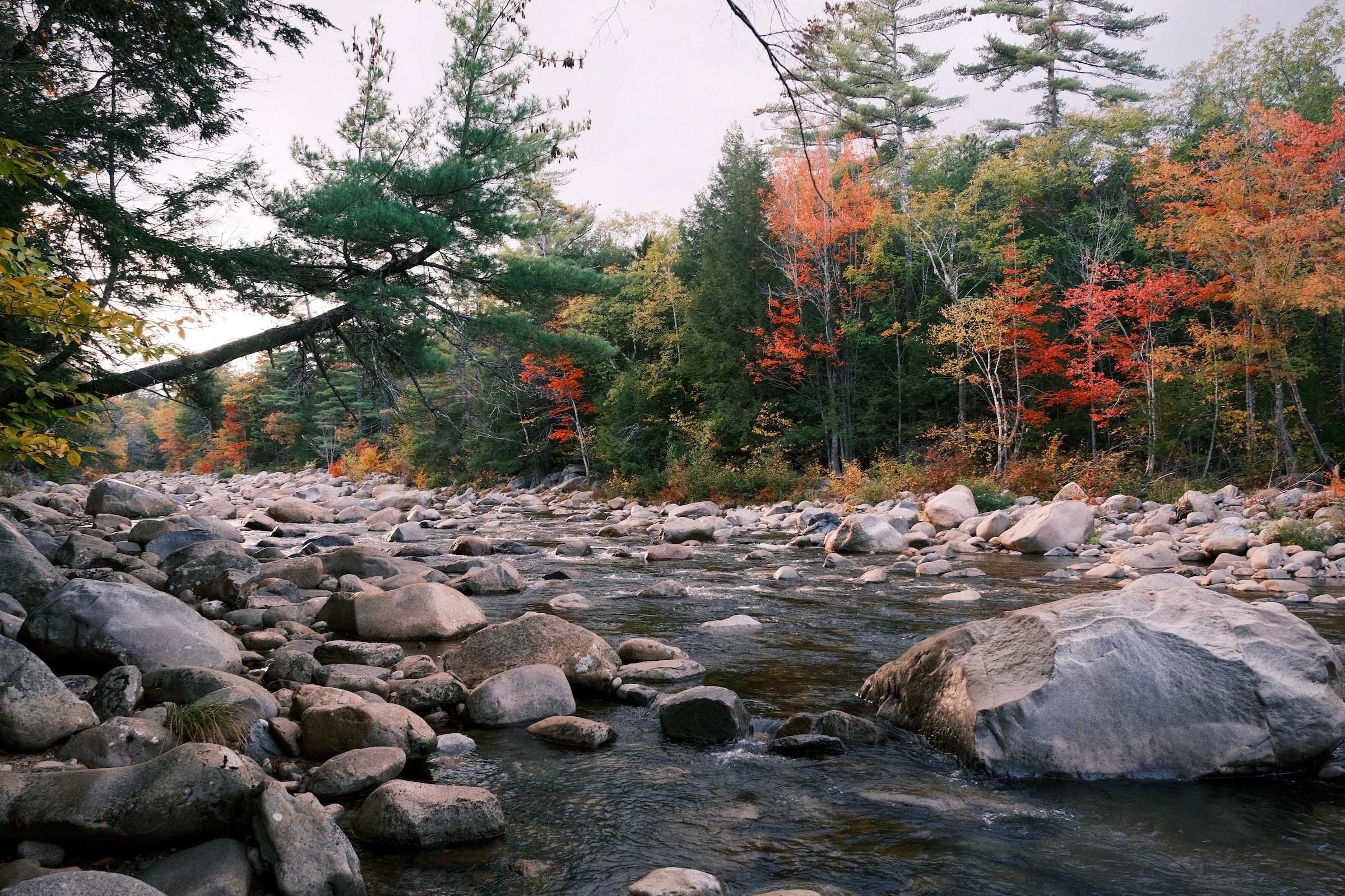 Vermont, Photo by Wei Chen on Unsplash