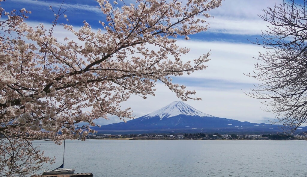 Fujikawaguchiko Lake and and Mount Fuji Photo by Catriona Palo on Unsplash