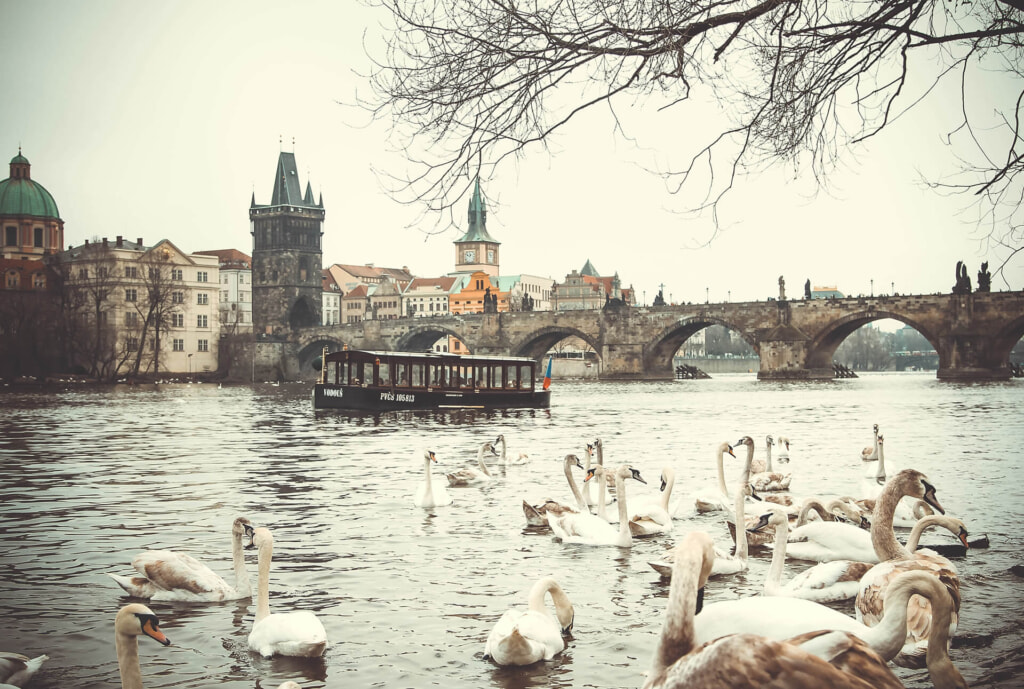 Prague, Photo by Elena Repina from Pixabay