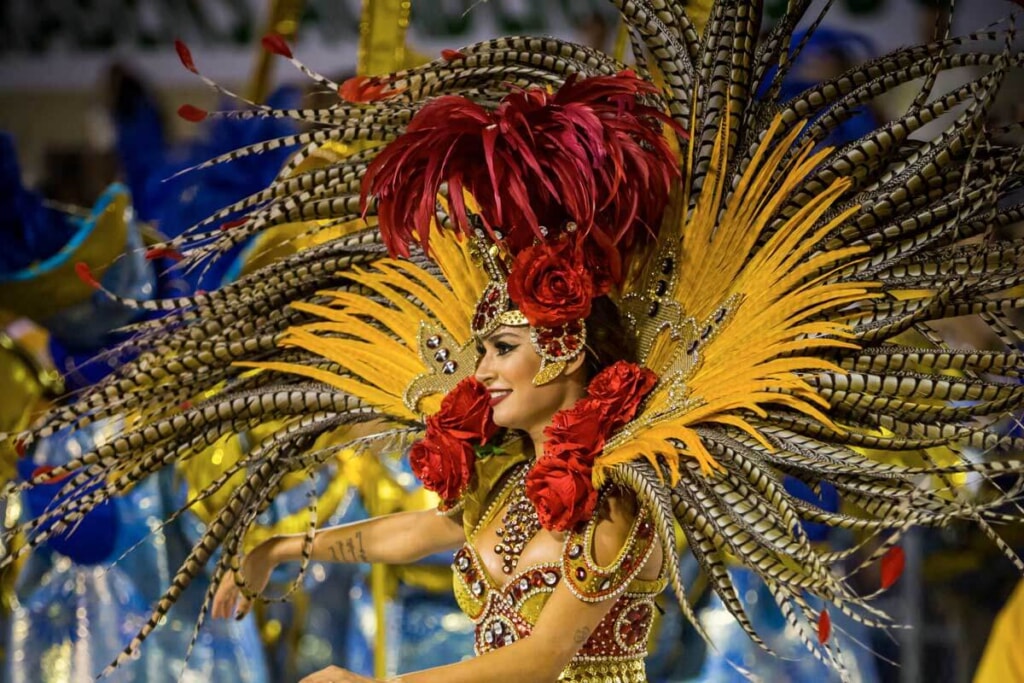 The Carnival in Rio de Janeiro