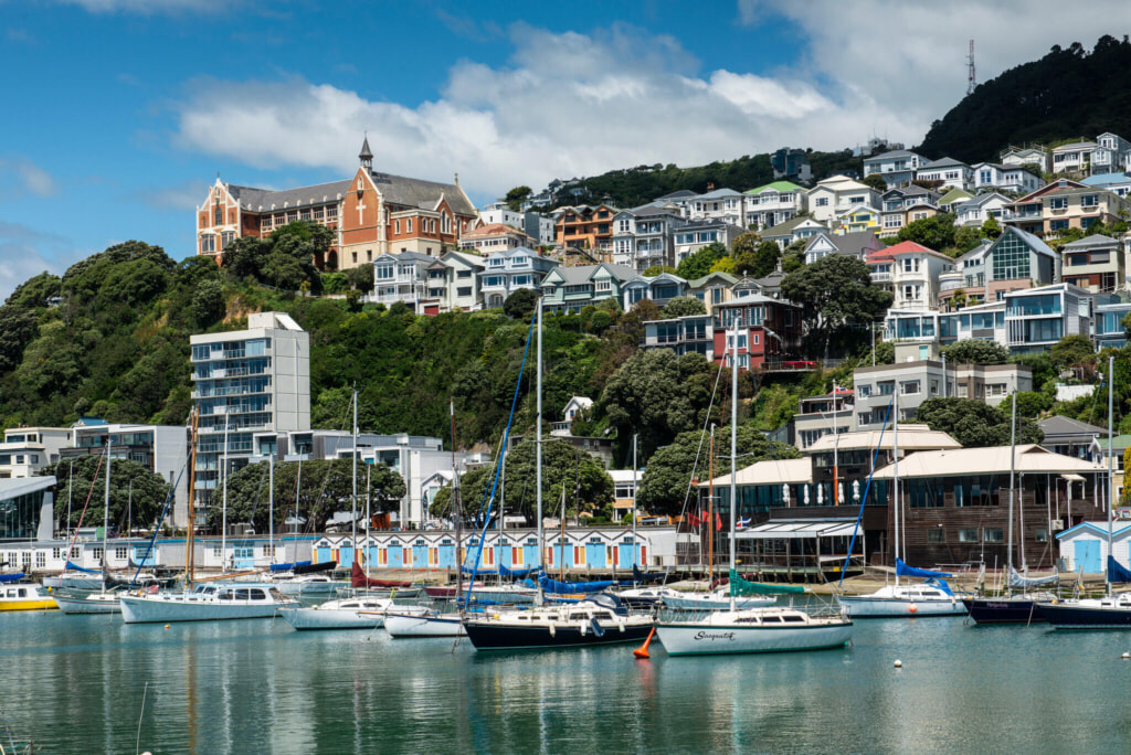 Wellington, New Zealand | Photo by Susan Wright, The New York Times
