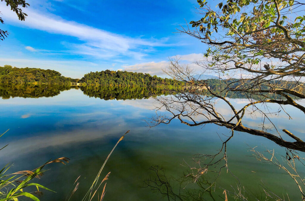 Vẻ đẹp hồ Pá Khoang | Báo Ảnh Việt Nam - TTXVN
