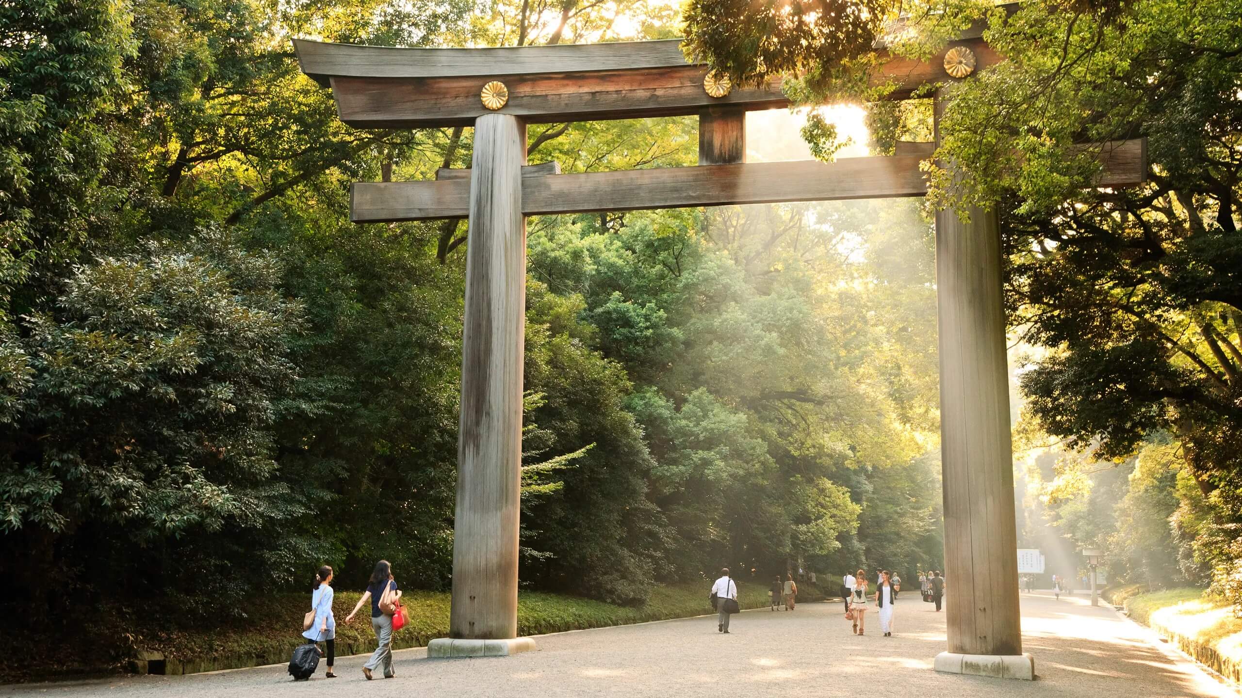 Trunk Hotel Yoyogi Park, Tokyo, Japan