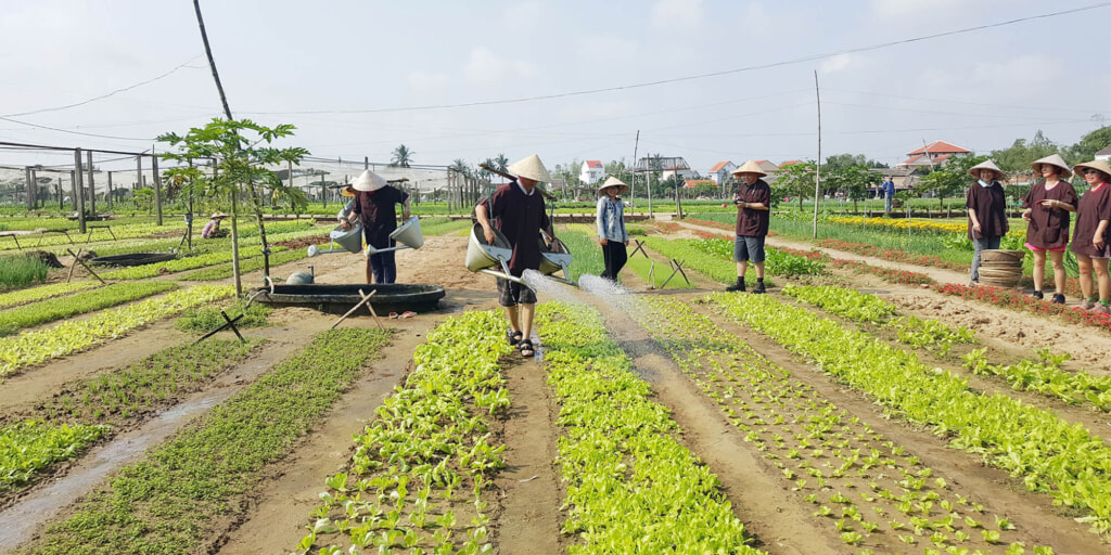 Tra Que Vegetable, Photo by Hoi An Village Experience