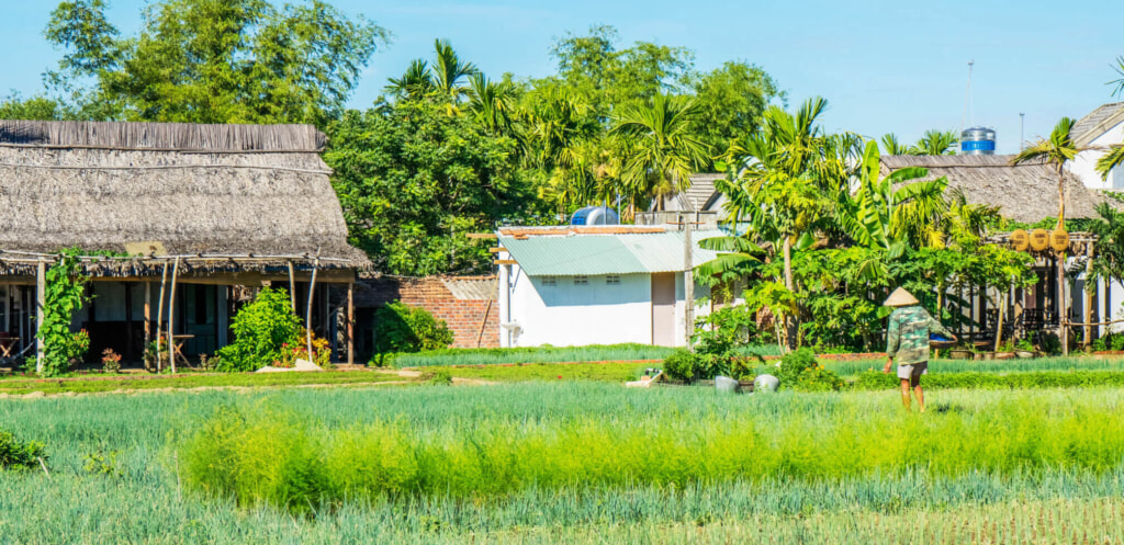 Tra Que Vegetable Village Photo by Oriental Boutique Hoi An